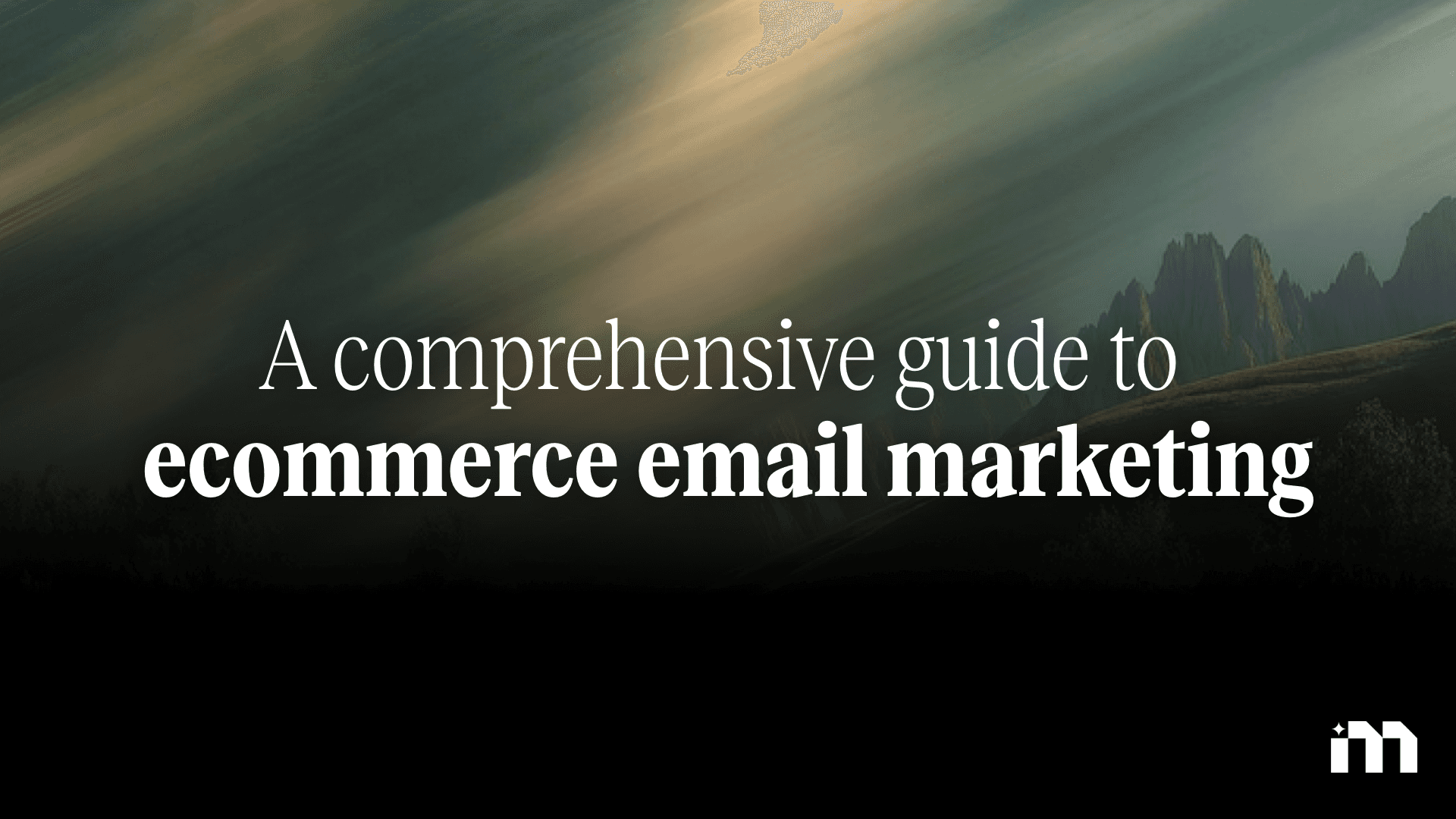Ecommerce email marketing guide