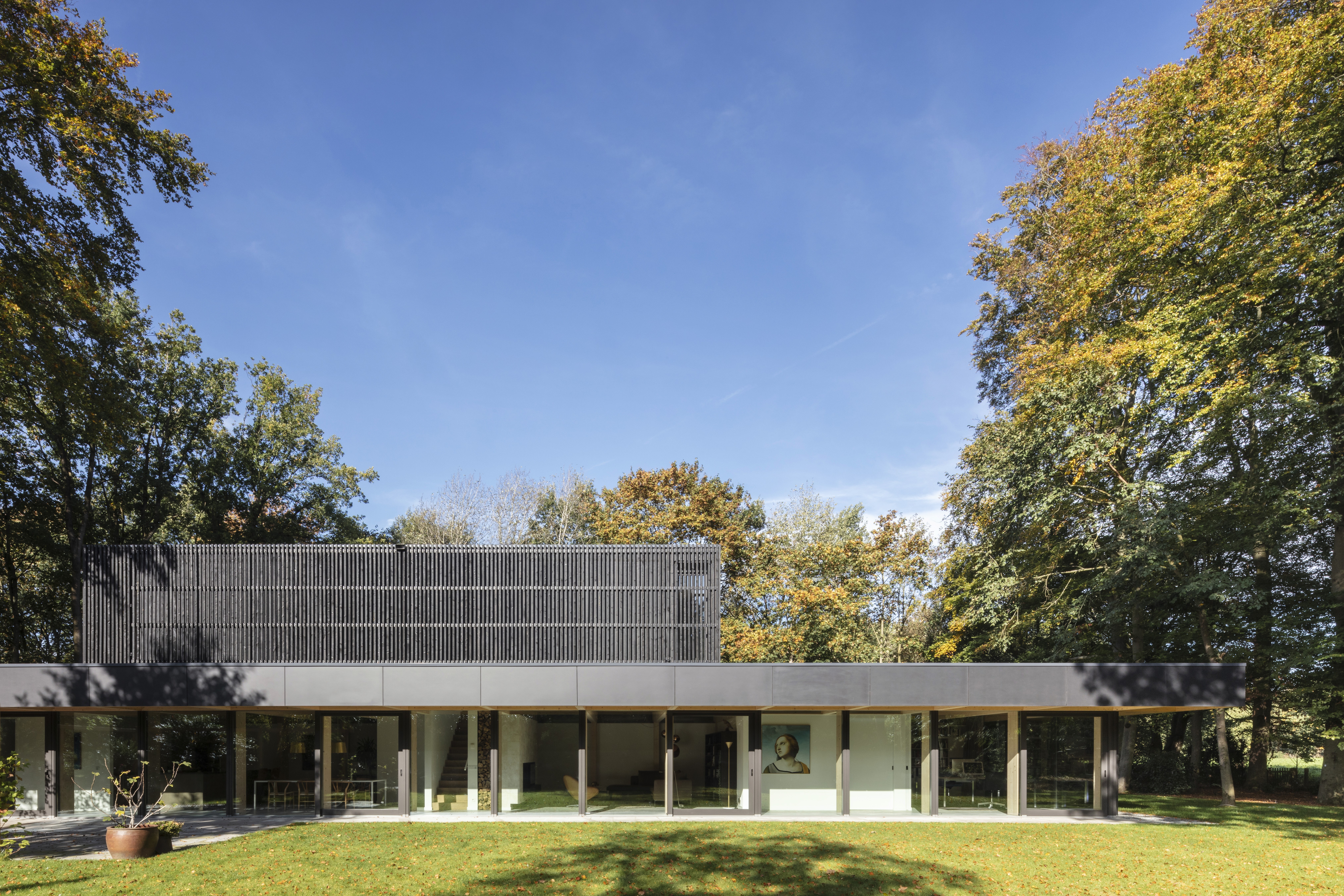 Bladeren en boomstammen voor een villa in een groene tuin
