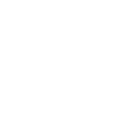 Adobe Indesign Logo