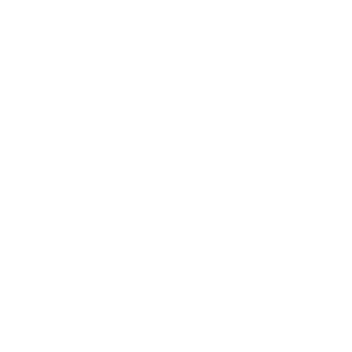 Logo BaconX