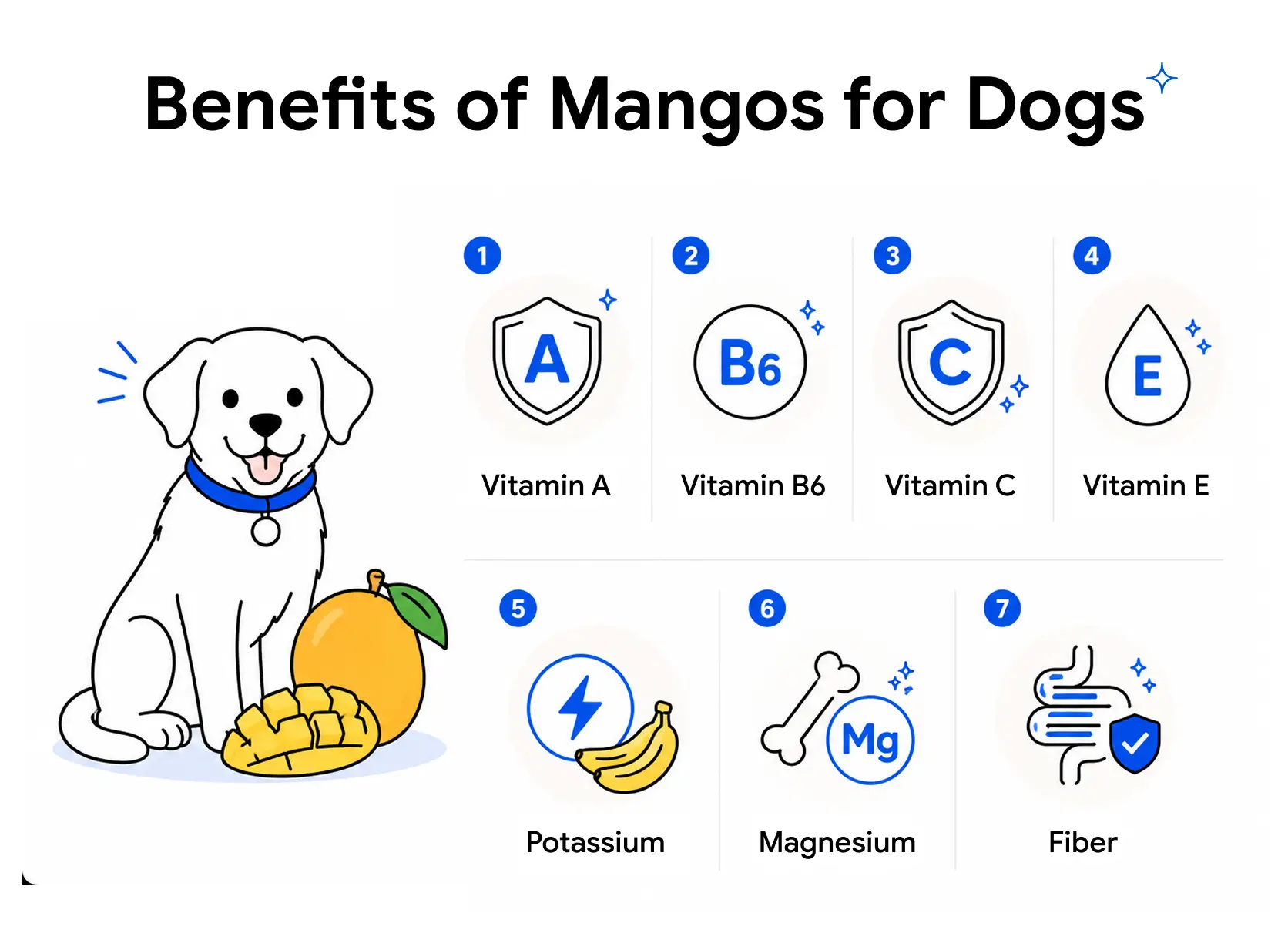 An infographic showing the benefits of mangos for dogs.