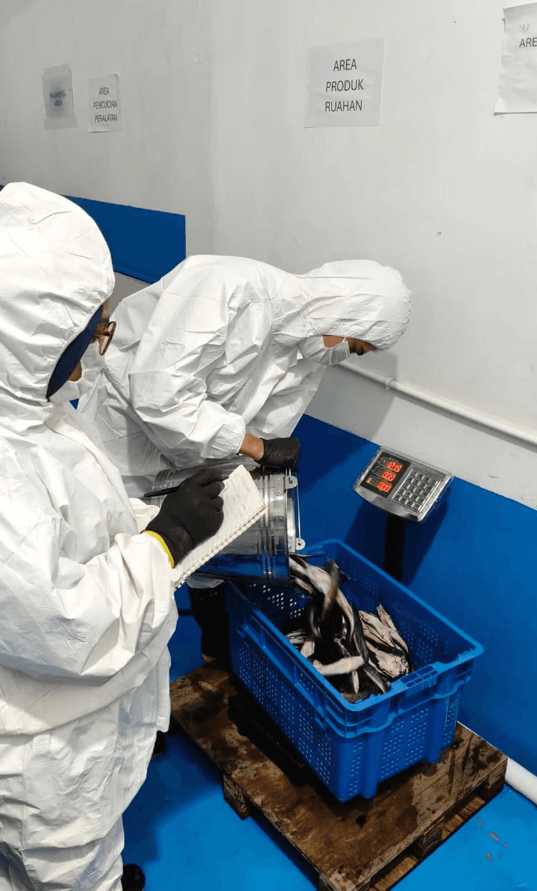 child-plays-with-toys-home