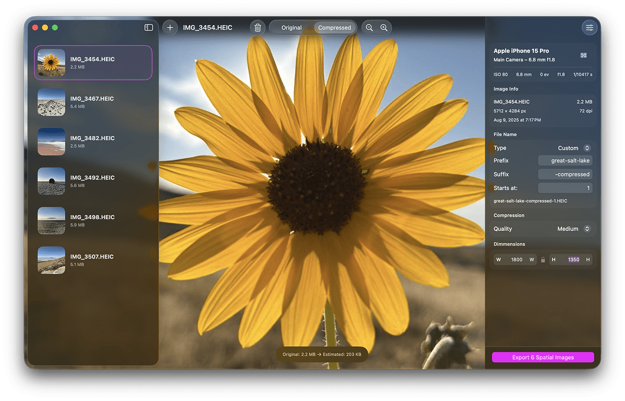 Spatial Compressor App Screenshot showing a sunflower.