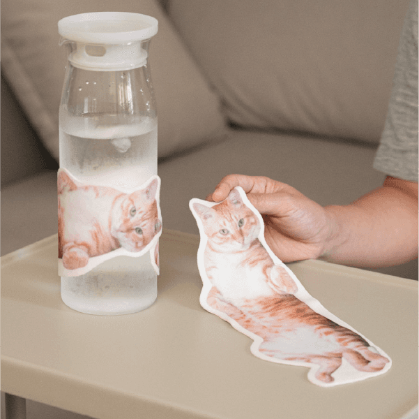 Close-up of lush, dark green leaves, some glossy and wet, against a muted background.