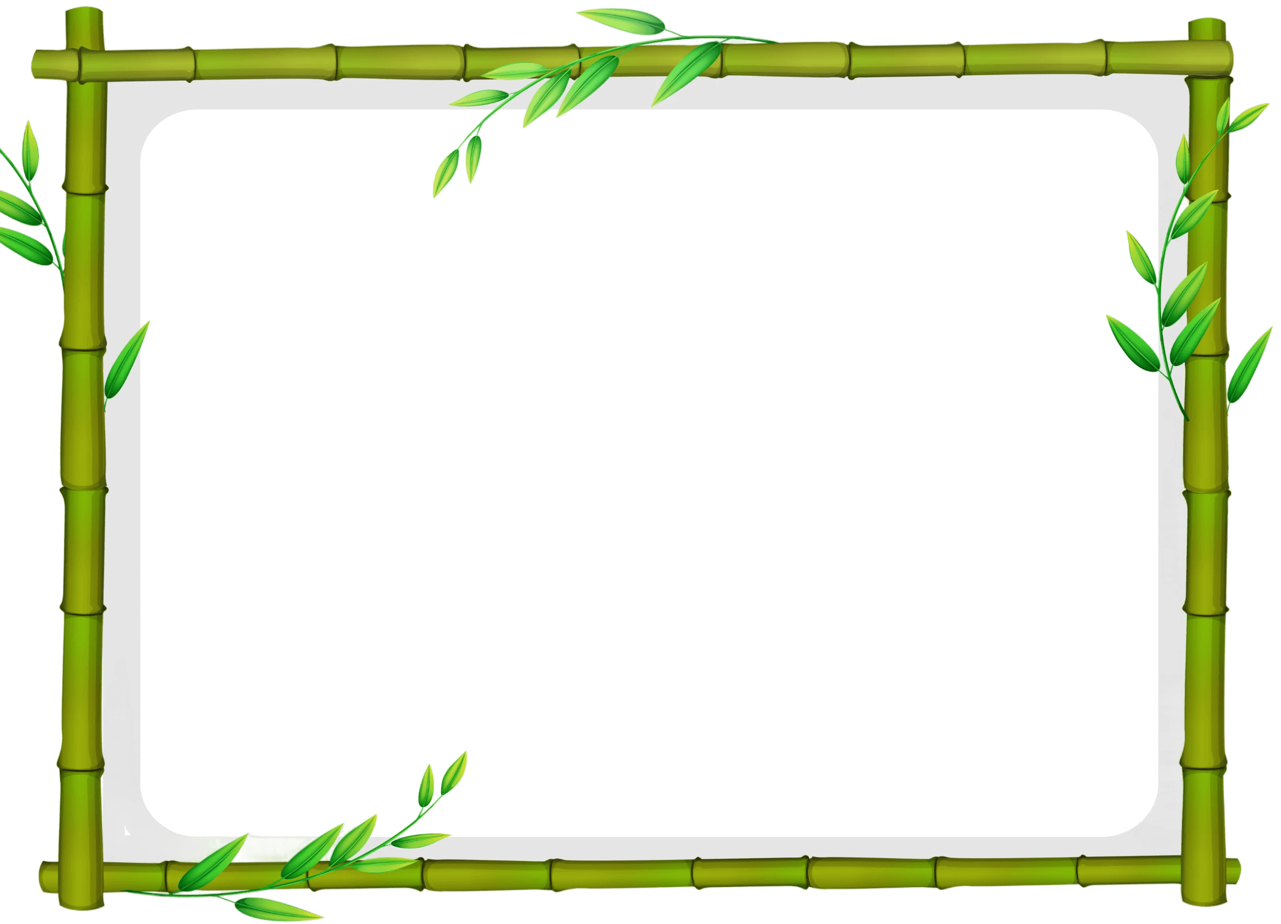 Bamboo frame with green leaves