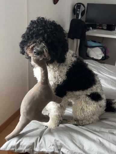 Lovis mit ihrem lieblingsspielzeug