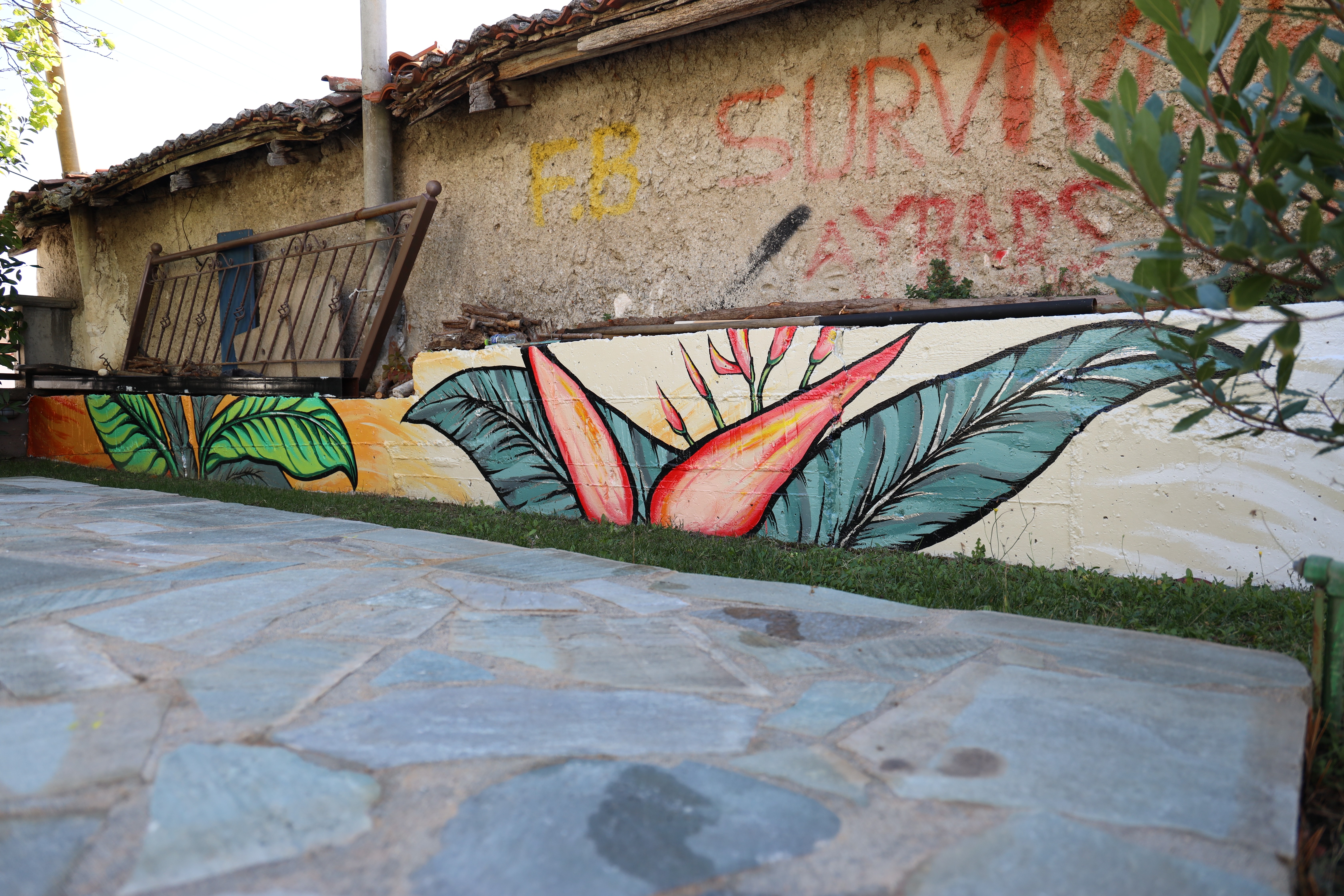 Plants on the corner