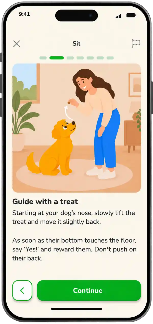 Kyno illustrated Sit lesson on an iPhone
