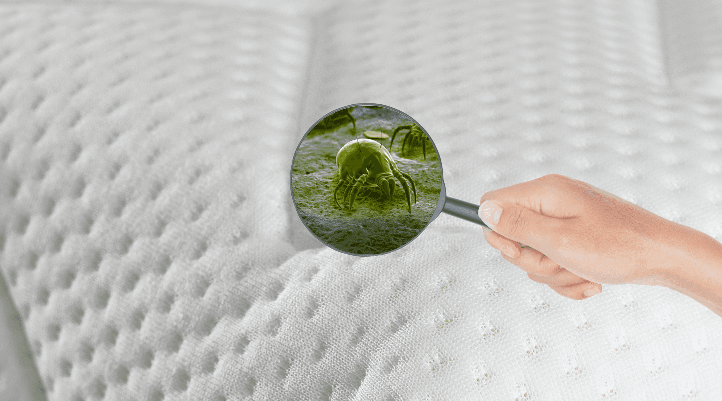 Placeholder for hero image showcasing your main product or service