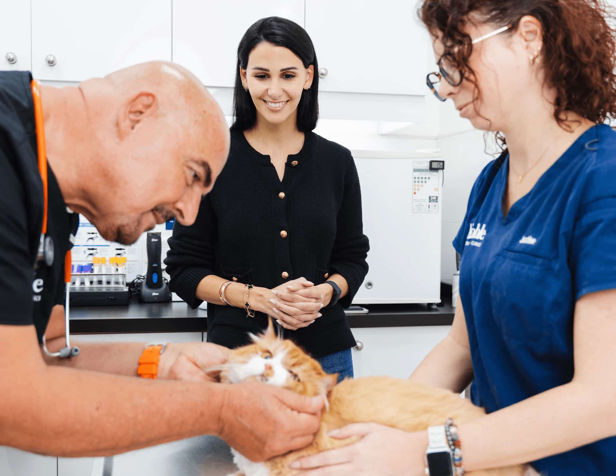 A veterinarian is adjusting a cat's head to check for its teeth. Another vet is assiting while the pet owner watches.