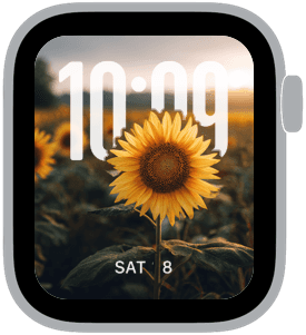 sunflower fields Apple Watch face preview 3 featuring floral and summer.