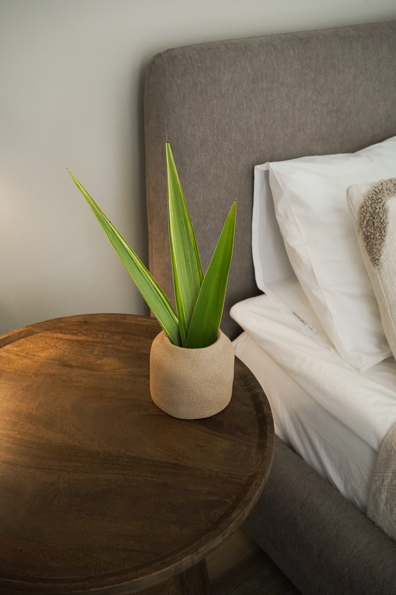 Minimal bedside table with plant in luxury bedroom at Villa Flora Portugal