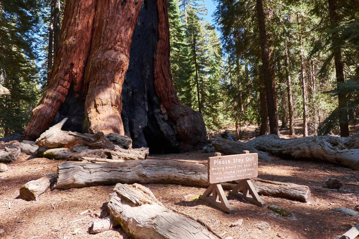 three brown wooden boat on blue lake water taken at daytime