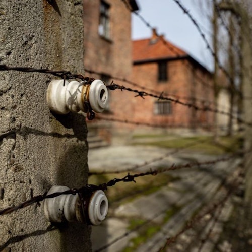 Auschwitz barbwire