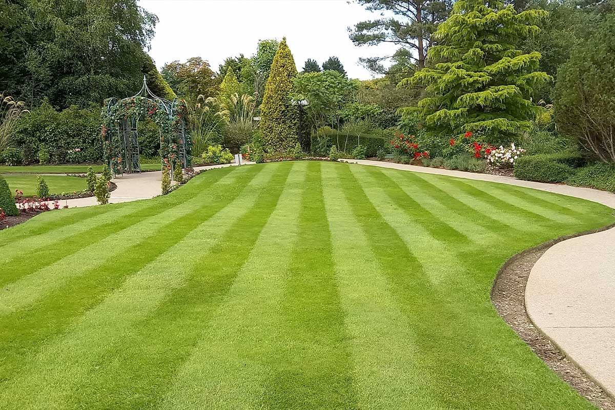 Un jardin avec un chemin sur la gauche et des plantes tout autour