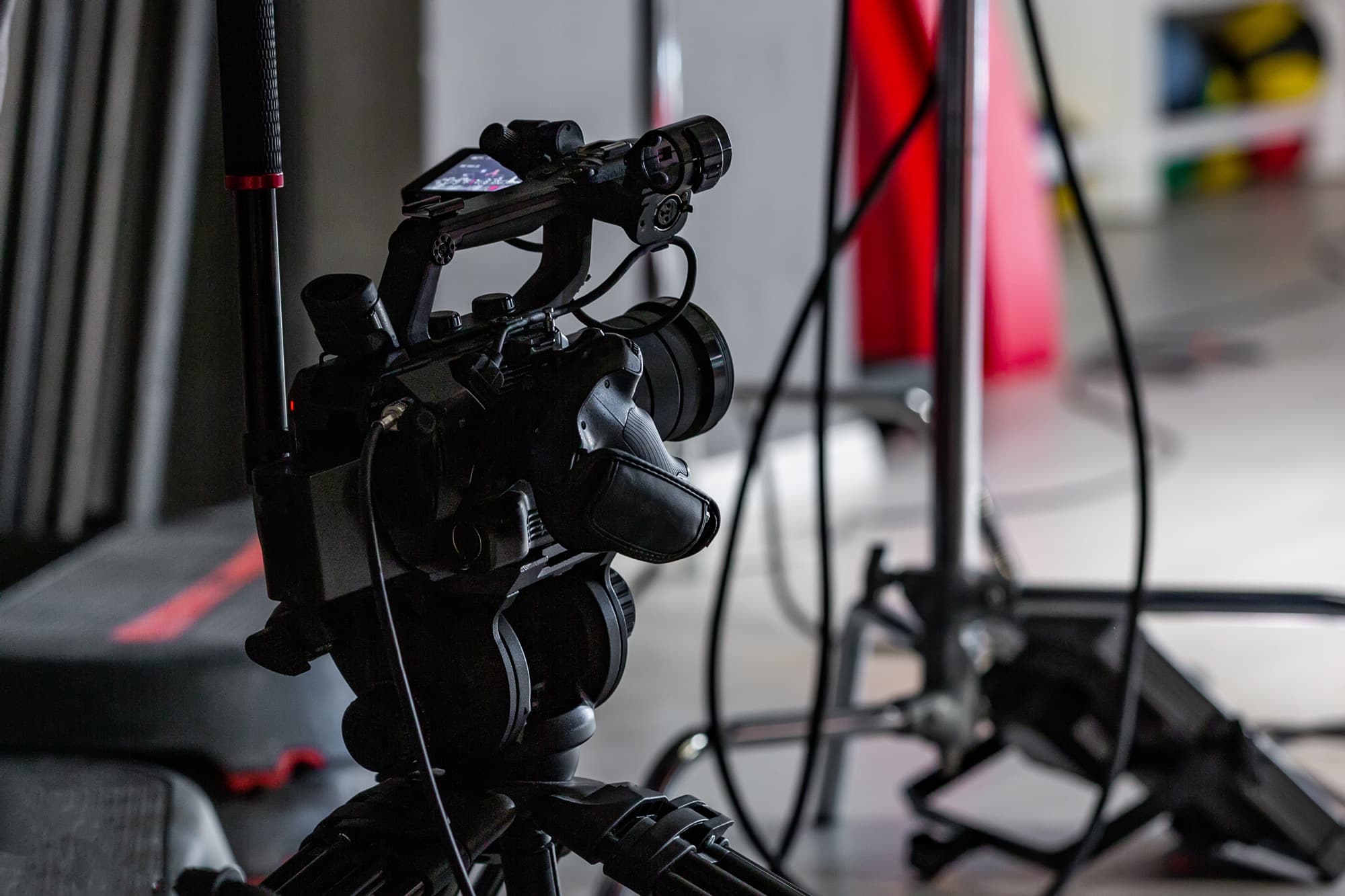 A woman in a striped shirt holds a credit card while using a laptop, bathed in warm sunlight in a cozy, modern setting.