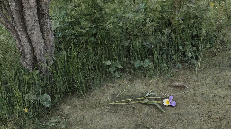 Sacred artwork by Faith and Verse. © Faith and Verse, 2026. All rights reserved. Fallen violet on bare ground near woodland grass, recalling the fragile innocence and violently interrupted life of Saint Godelieve of Gistel.