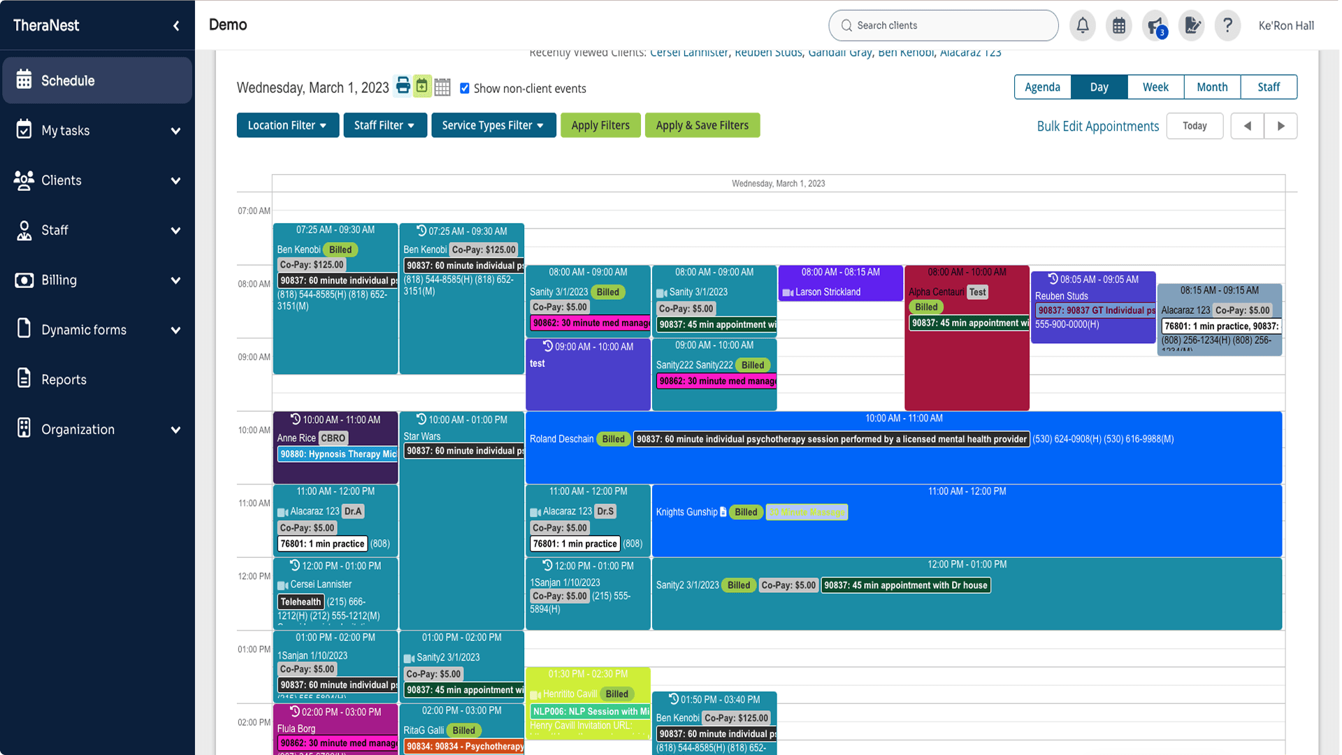 TheraNest calendar view showing a dense daily schedule with color-coded appointment blocks across multiple time slots and providers.