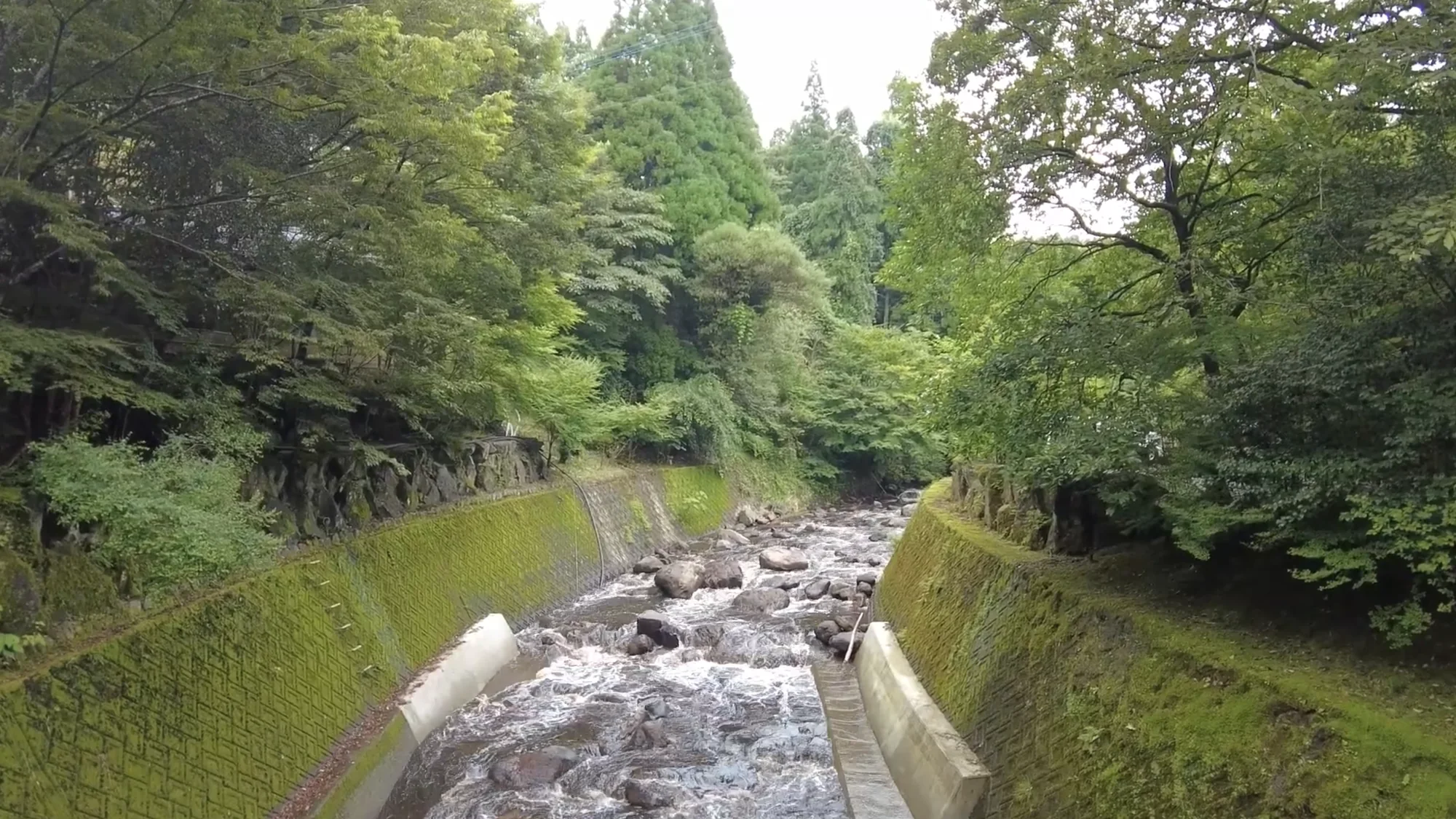 A river running between cedar banks below Kurokawa Onsen