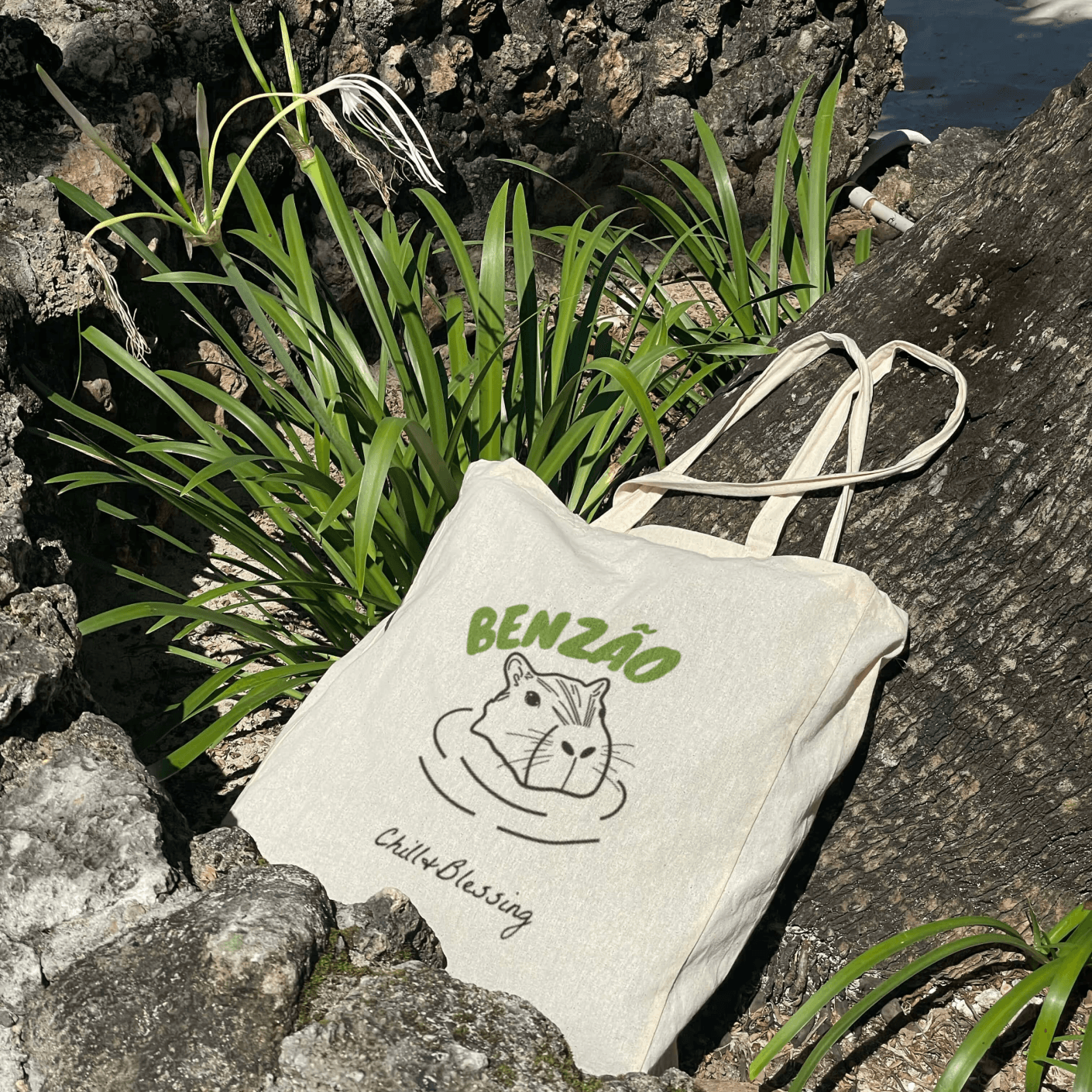 The image featured in the carousel #1