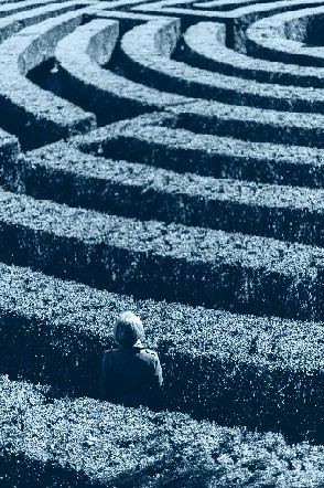 Person standing in a hedge maze looking toward the center