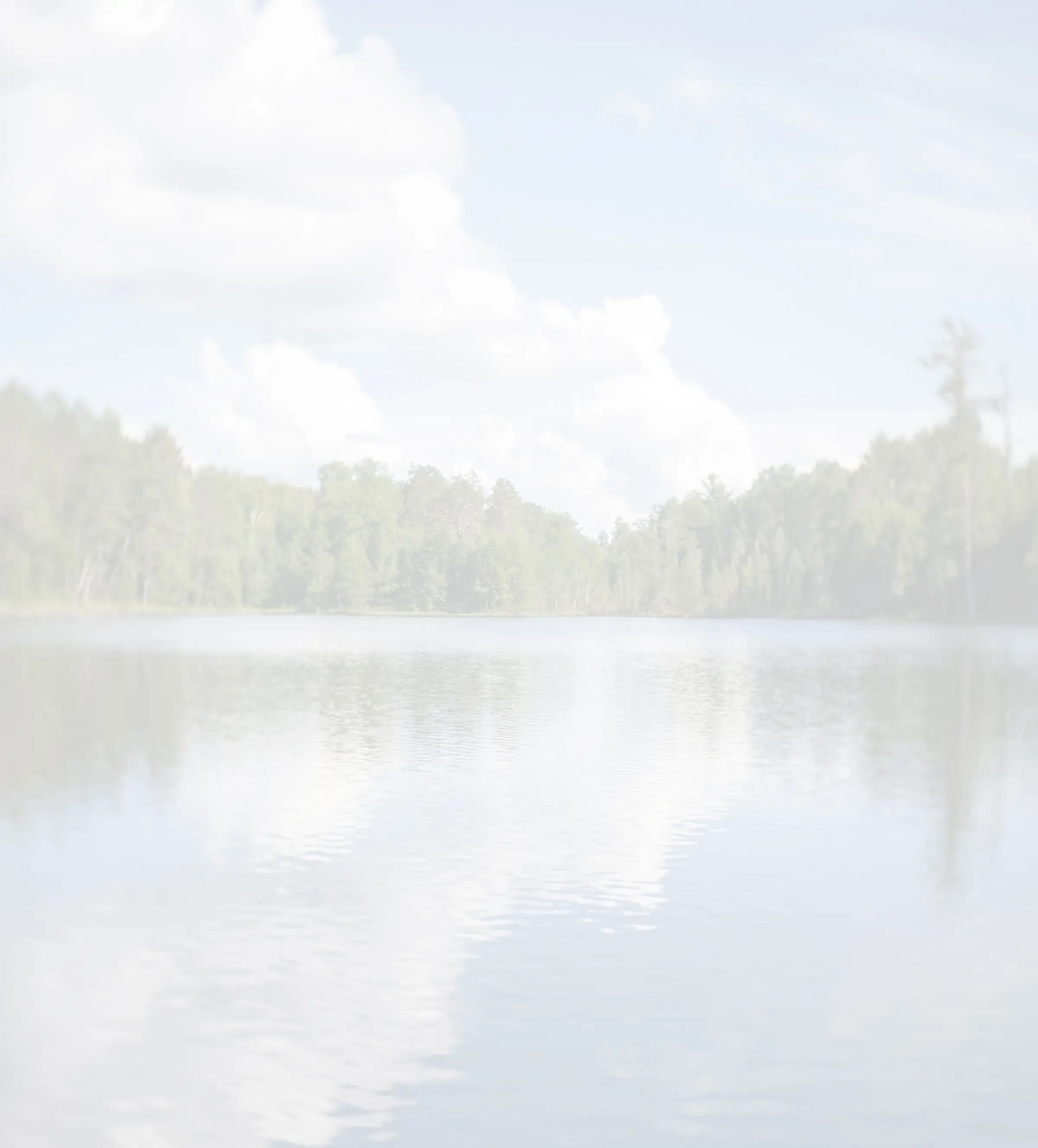 Calm Minnesota lakeside landscape