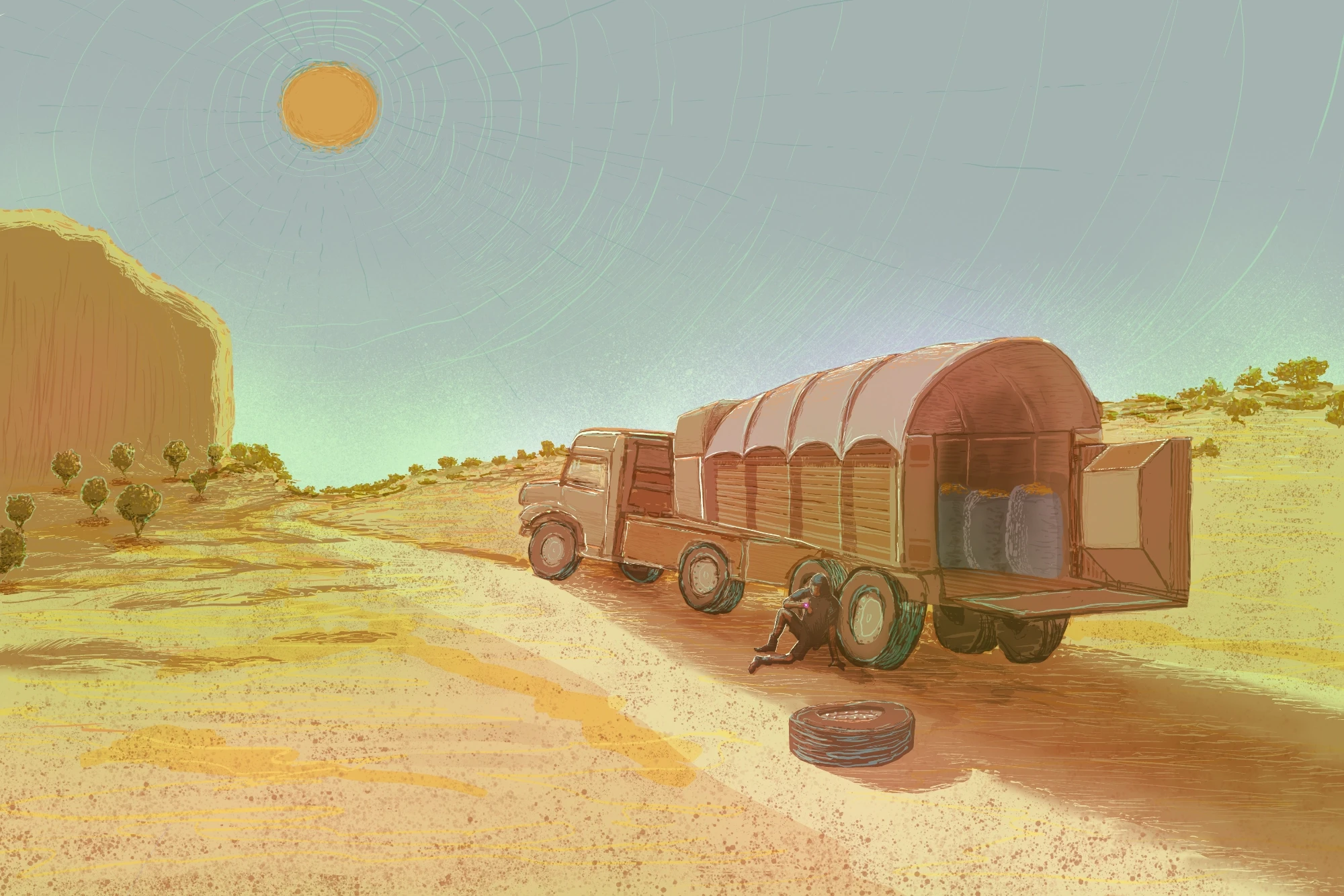 Oasis