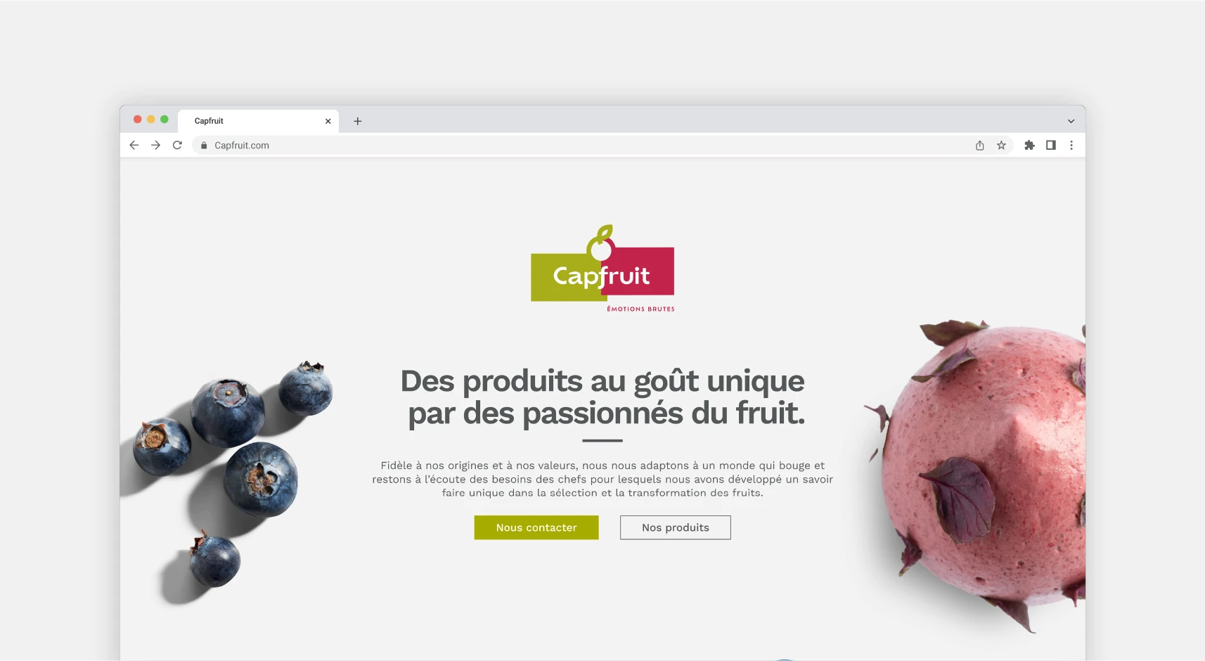 Landing page pour Capfruit