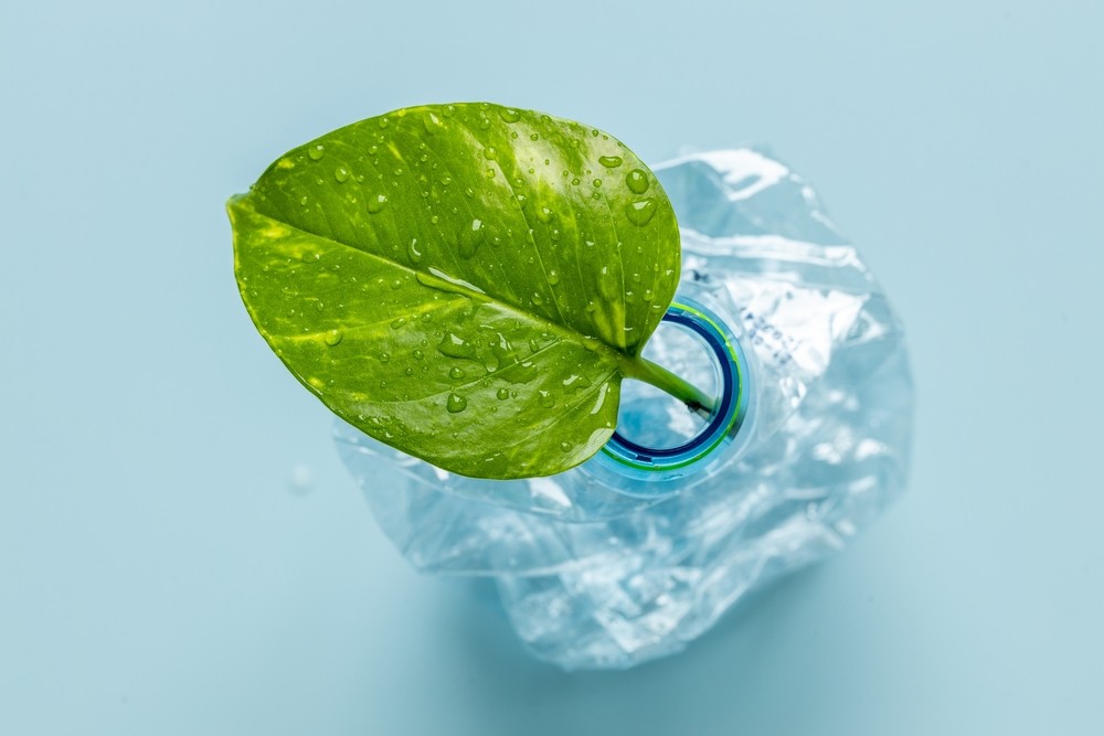 A leaf inside a plastic bottle