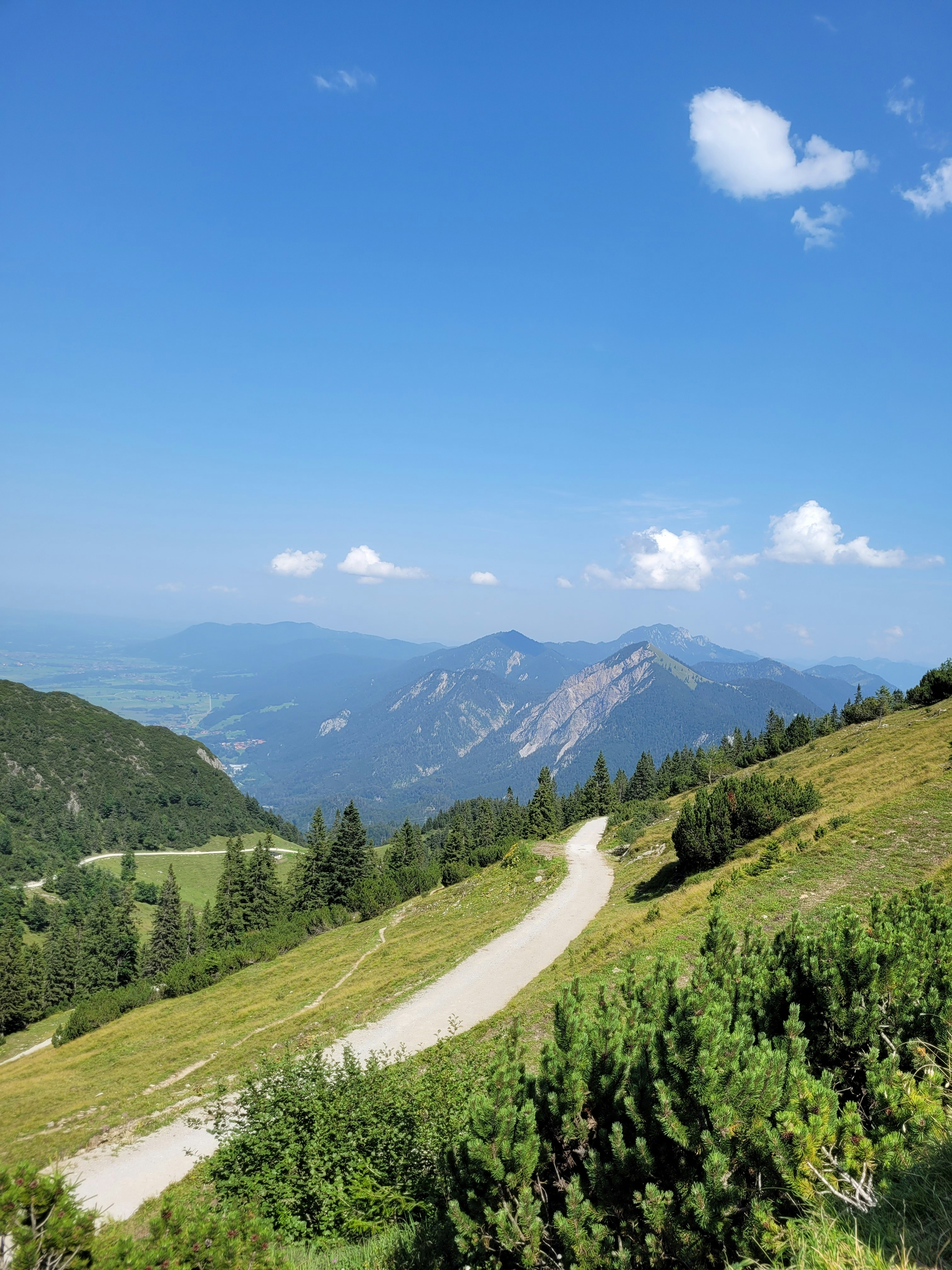 man in a bright, green office