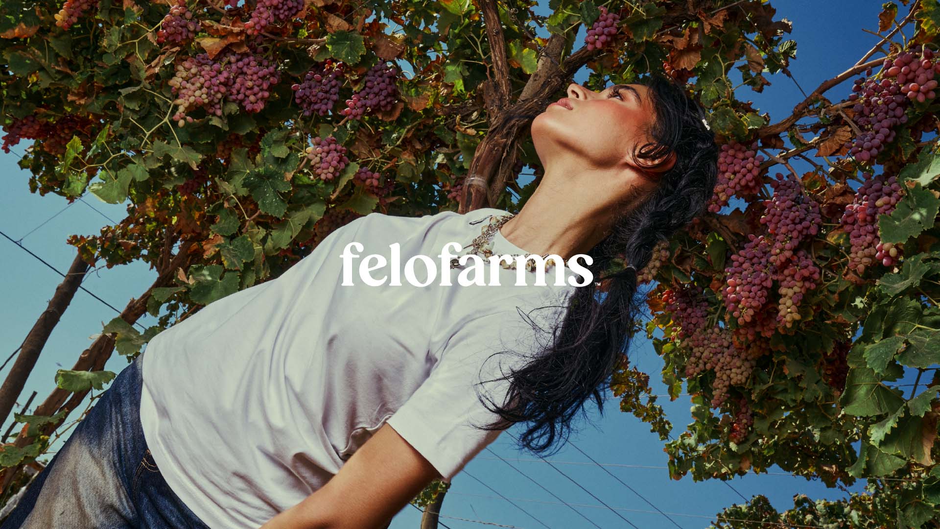 felofarms, a brand by longeblack
