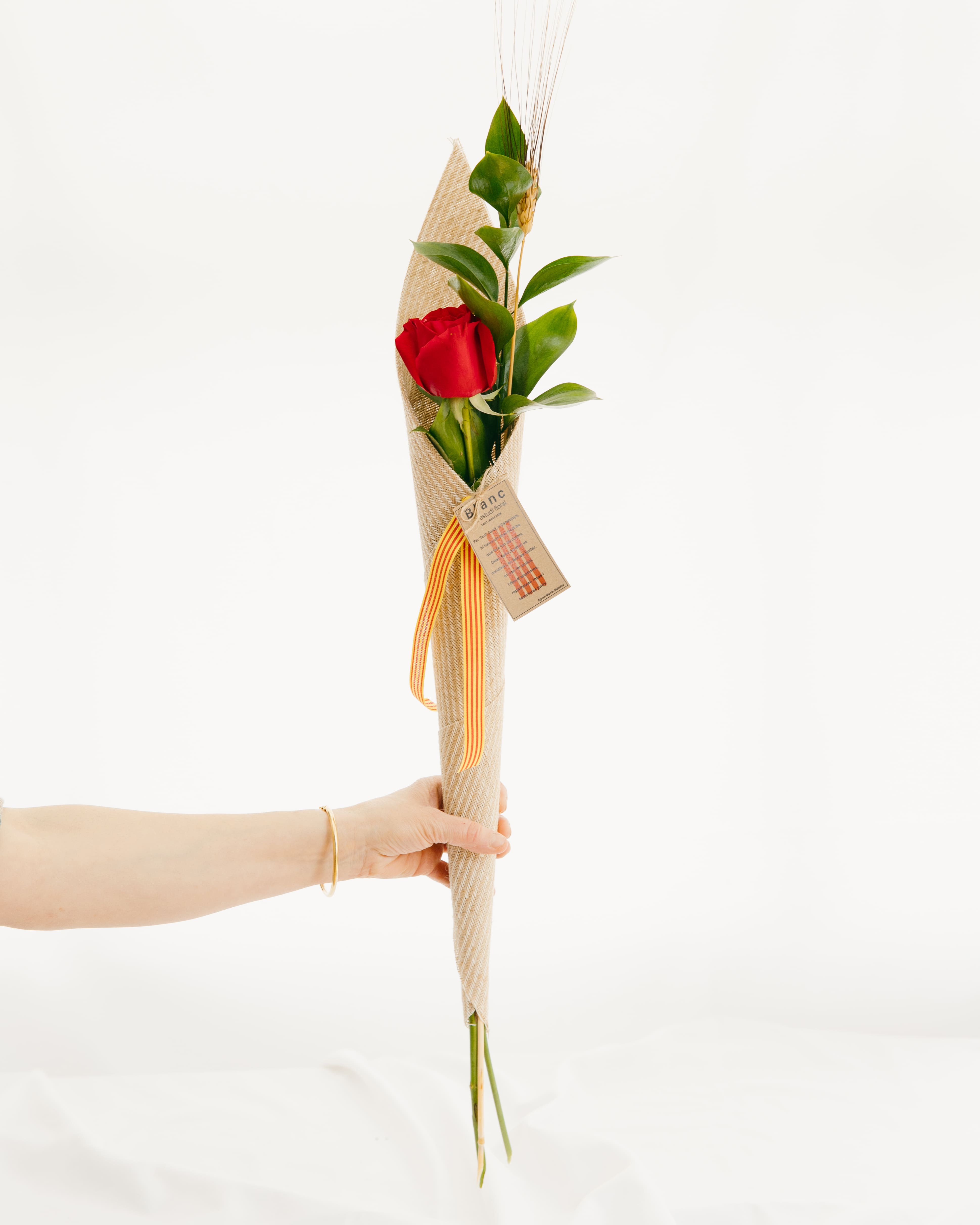 Rosa de Sant Jordi amb embolcall de jute de tija completa sostinguda per una mà amb polsera daurada, mostrant espiga de blat i etiqueta amb poema i cinta senyera, sobre fons blanc net.