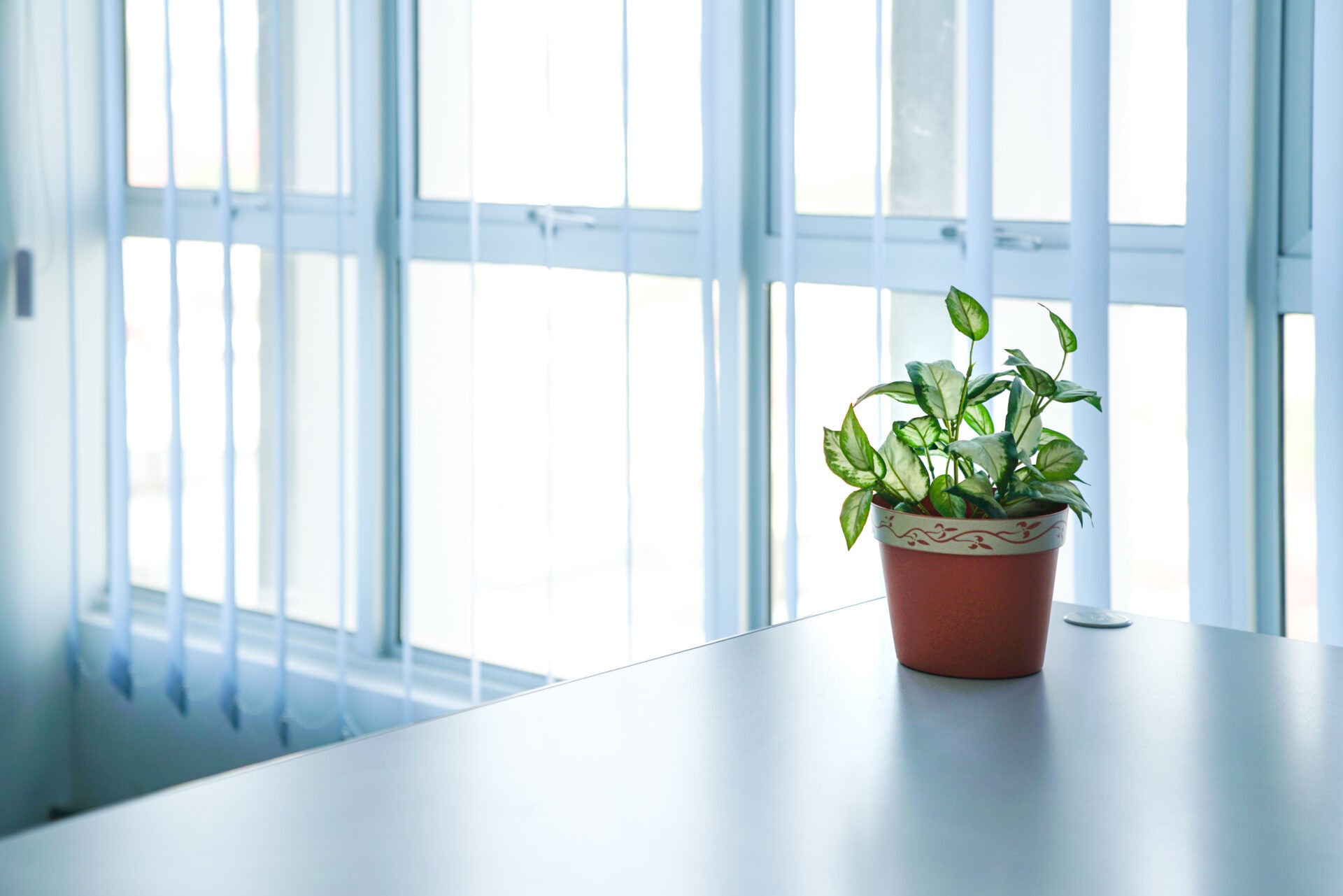 Clean and simple look of an office with vertical blinds. Custom window blinds at Wholesale Blind Factory.