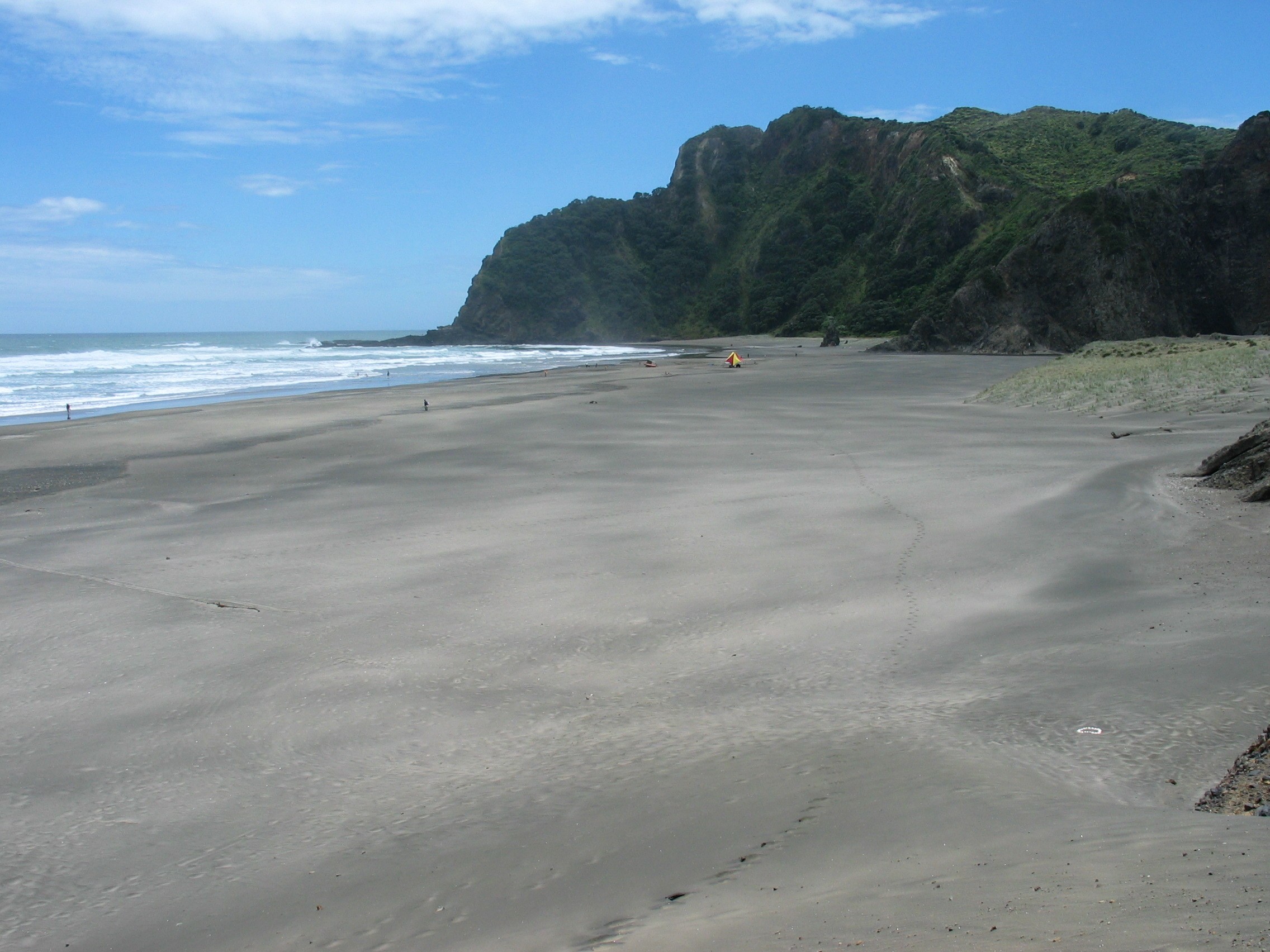 Karekare Beach, Auckland. Photo: Gadfium / Wikimedia Commons. Public domain.