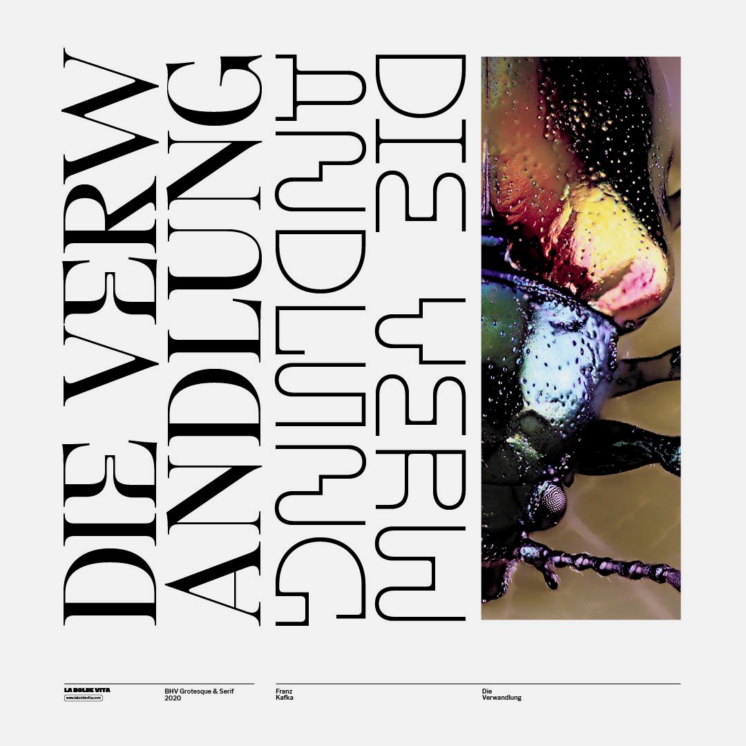 vertical typeset of BHV serif and grotesque in combination with a detail shot of a colourful bug