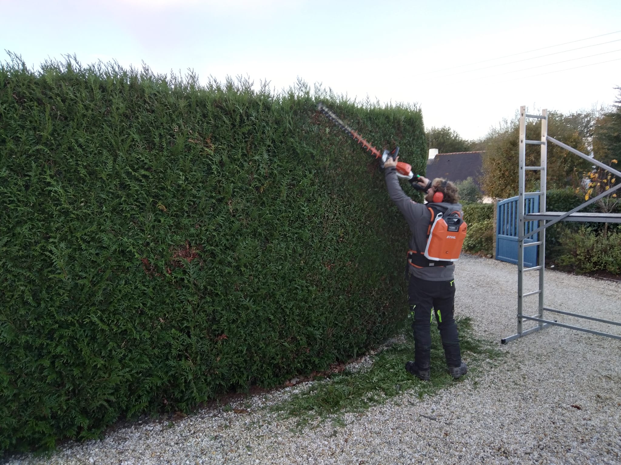 taille de haies morbihan