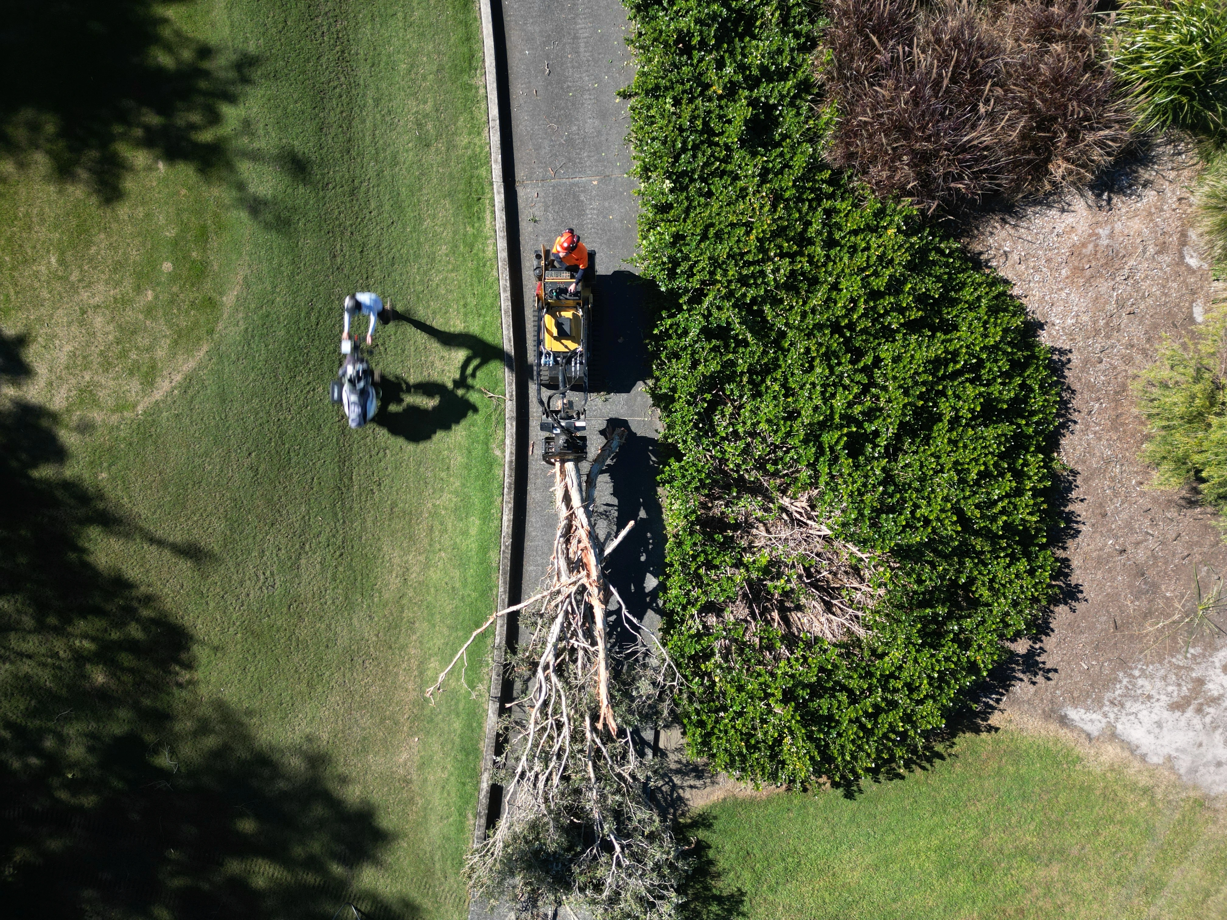 Aerial view of a GC Tree Solutions crew clearing a fallen tree beside a Gold Coast road