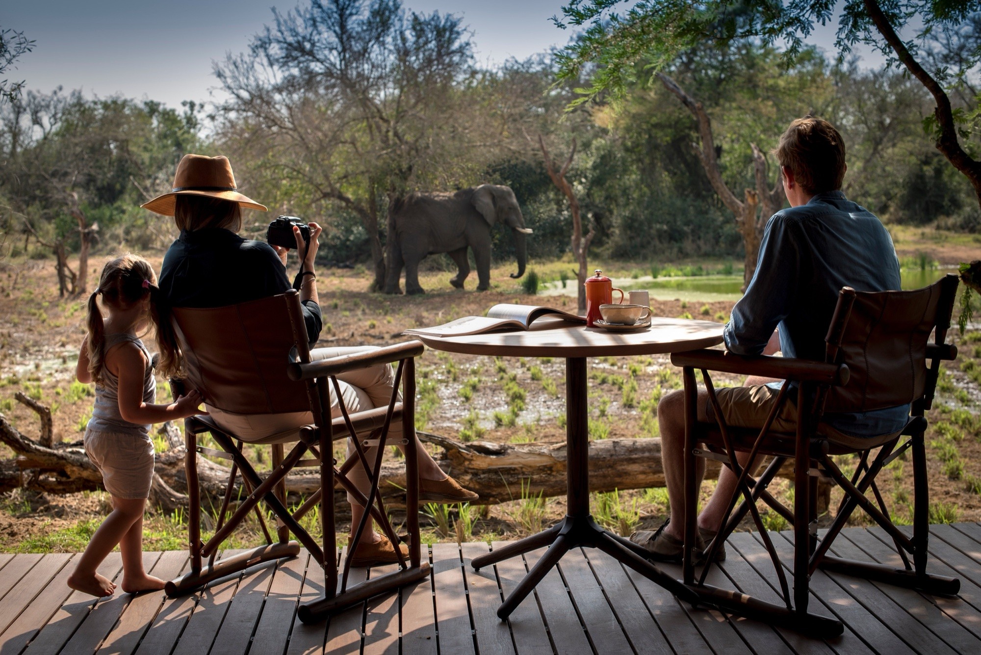 A family photographing an elephant from their villa's deck