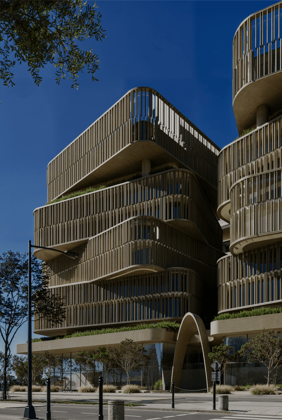 Silhouetted agave plants against a pale sky
