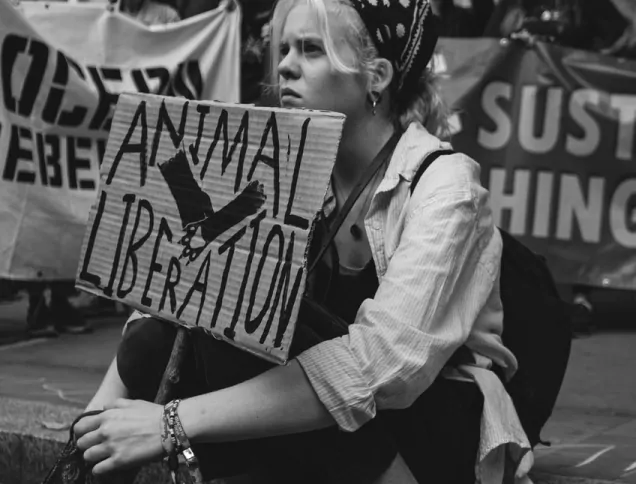 Animal liberation