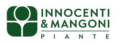 Logo Innocenti e Mangoni piante