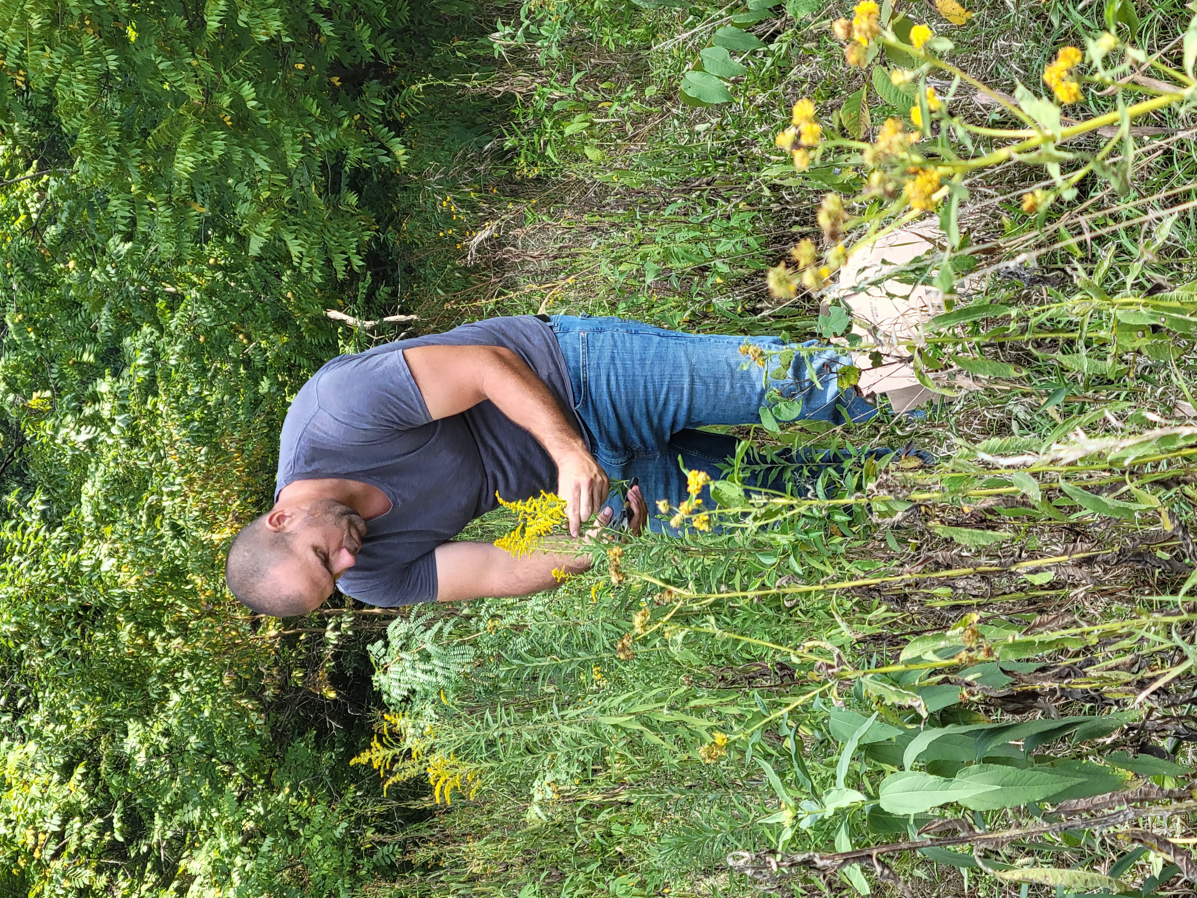 Students identifying and sorting edible wild plants as part of a foraging certification course.