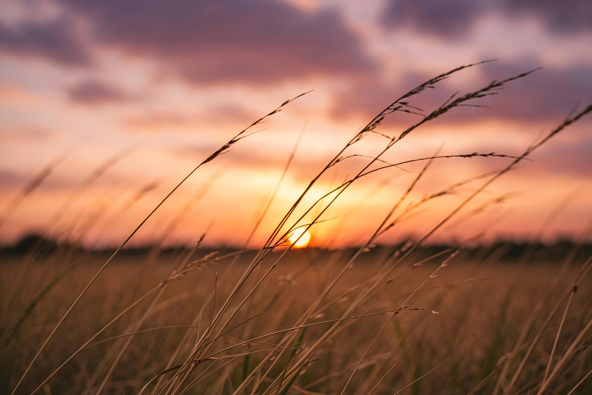 Casa Rural en Lleida