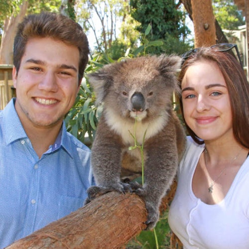 שני אנשים מחייכים בזמן שהם עומדים ליד קואלה שיושבת על ענף בסביבה טבעית עטופה בצמחייה שופעת.