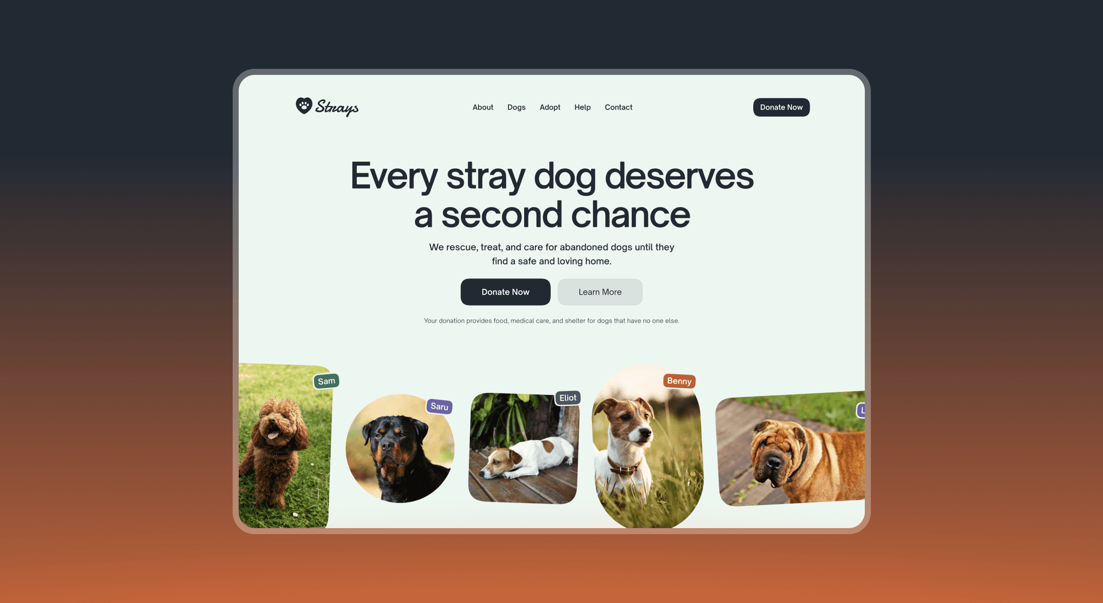 Strays free Framer template for animal shelters and charities showing a nonprofit website with dog adoption listings and donation call to action