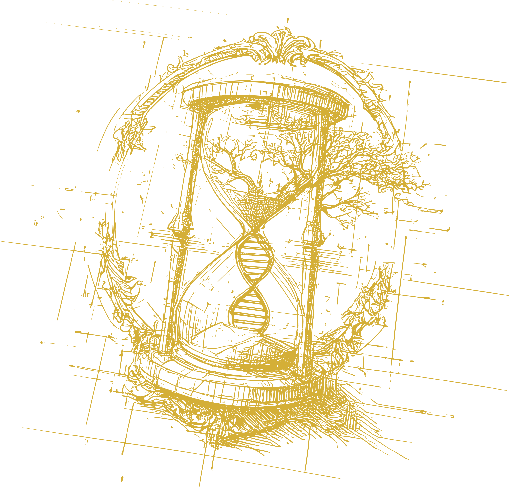 Longevity legacy simulator