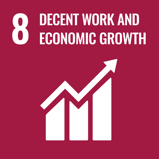 Image of the SDG Goal 8 - Promote sustained, inclusive and sustainable economic growth, full and productive employment and decent work for all