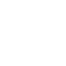 Form Icon