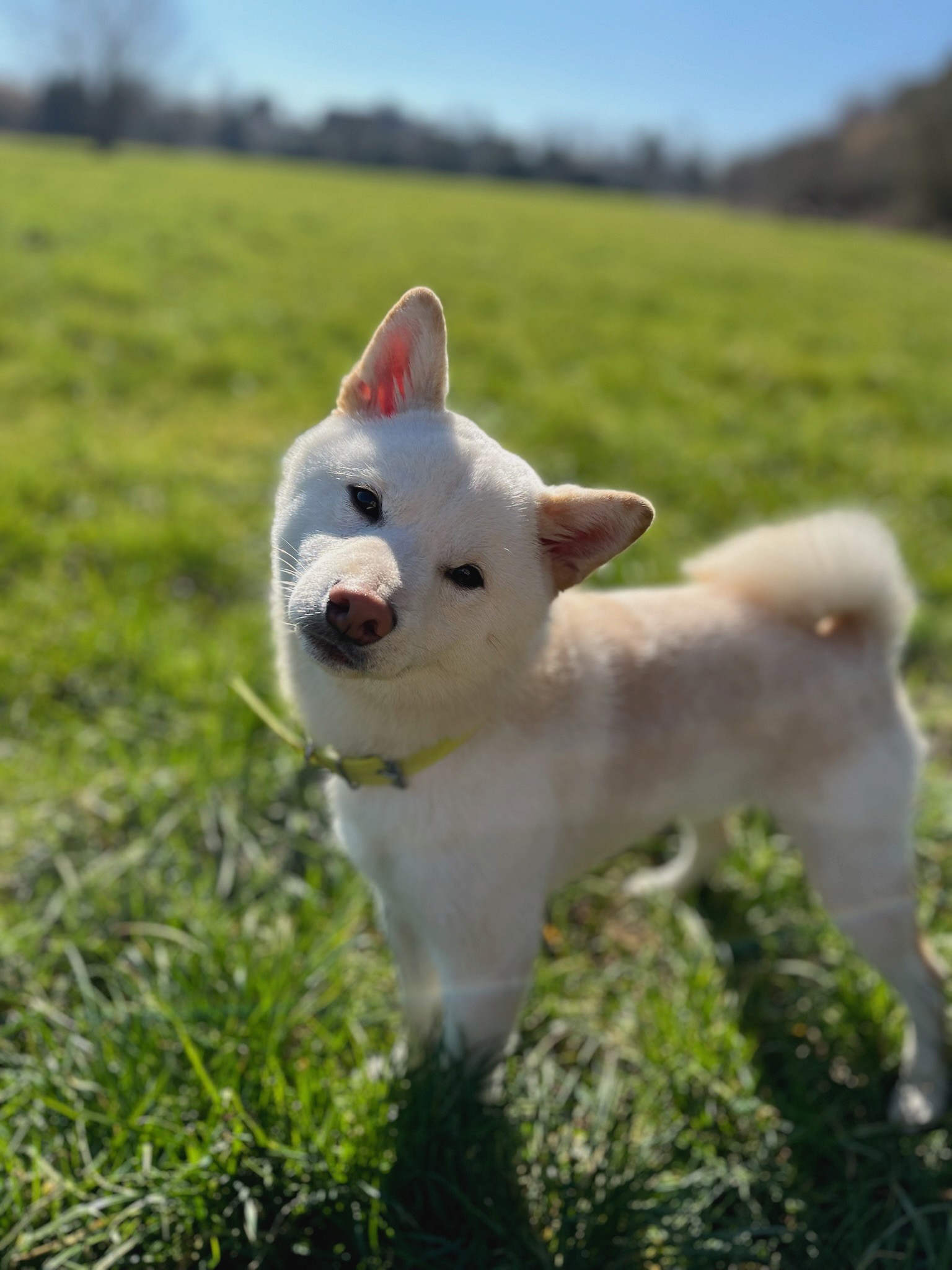 Una&Co Photo Balade éducative