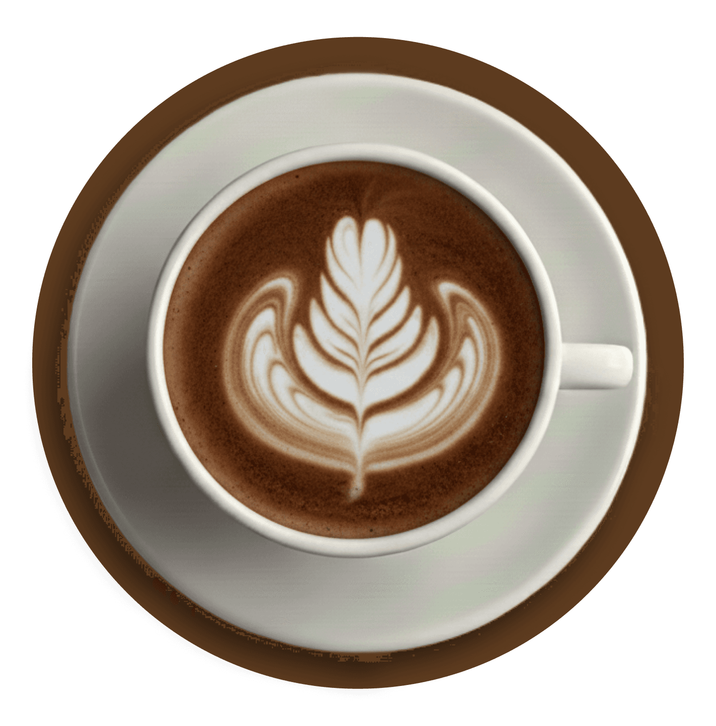 Latte art in a white cup on a saucer.